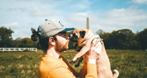5 Perfect Activities to Enjoy with Your Pup on Valentine’s Day