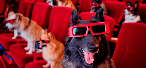 top 10 movies about dogs