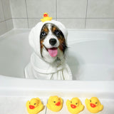 caption_@miniaussiefrankie is wearing L and measures Back: 25.5"