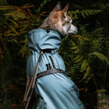 caption_@astrid_thehusky is wearing L and measures Back: 19" & Girth: 20"