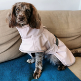 caption_@lady.hazel.rah is wearing M and measures Back: 17" & Girth: 16.5""