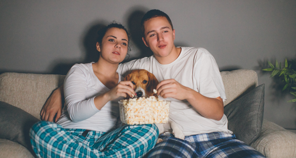 Ideas For Fun Movie Nights With Your Pup